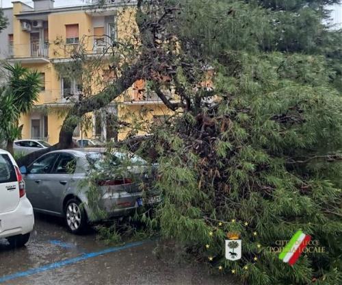 Eventi meteo marzo-aprile 2026: disponibile la modulistica ufficiale per la ricognizione dei danni