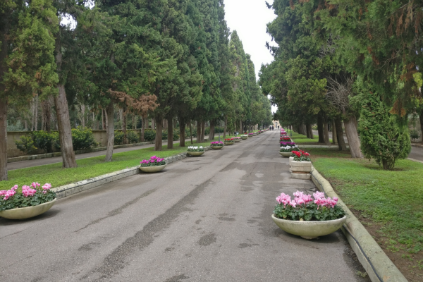 Commemorazione dei defunti: piano viabilità cimitero viale per sito