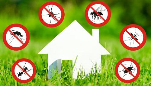 Calendario deblattizzazione e disinfestazione sul territorio comunale