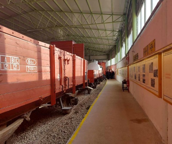 il-treno-degli-imi