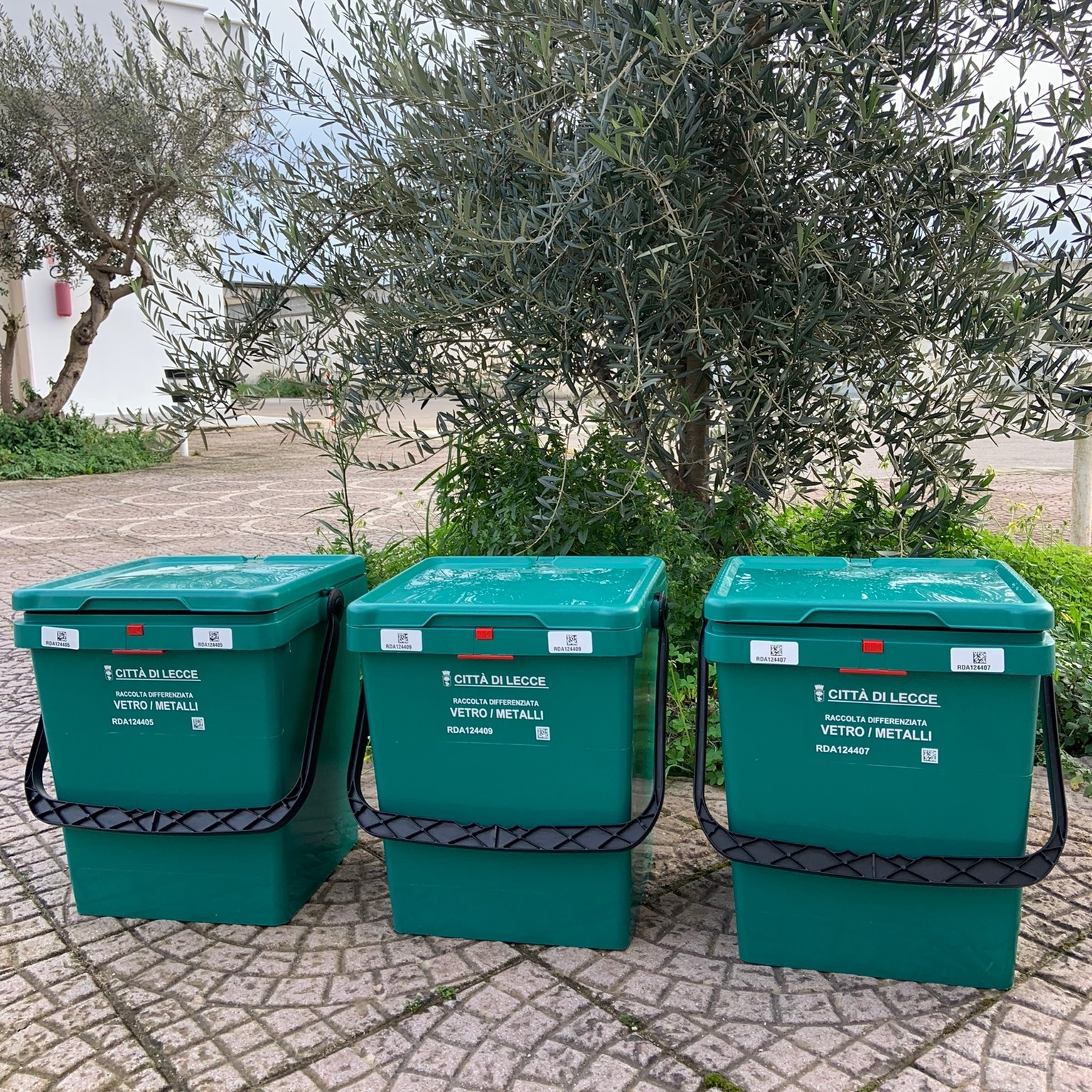Ritiro pattumelle verdi per vetro e metalli, al via dal 10 febbraio pattumelle verdi