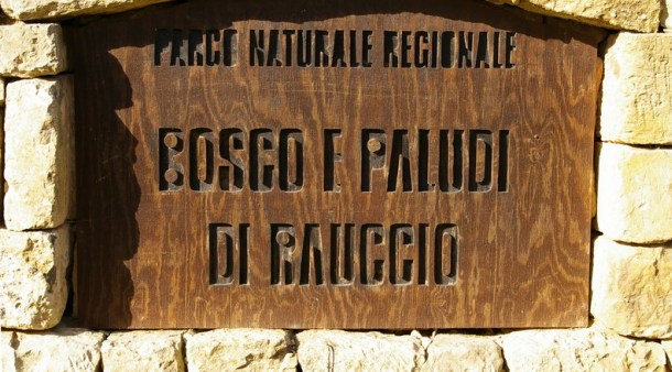 "Di Notte… nel Bosco", sabato 10 luglio passeggiata notturna in compagnia della Cooperativa Terradimezzo Parco Rauccio