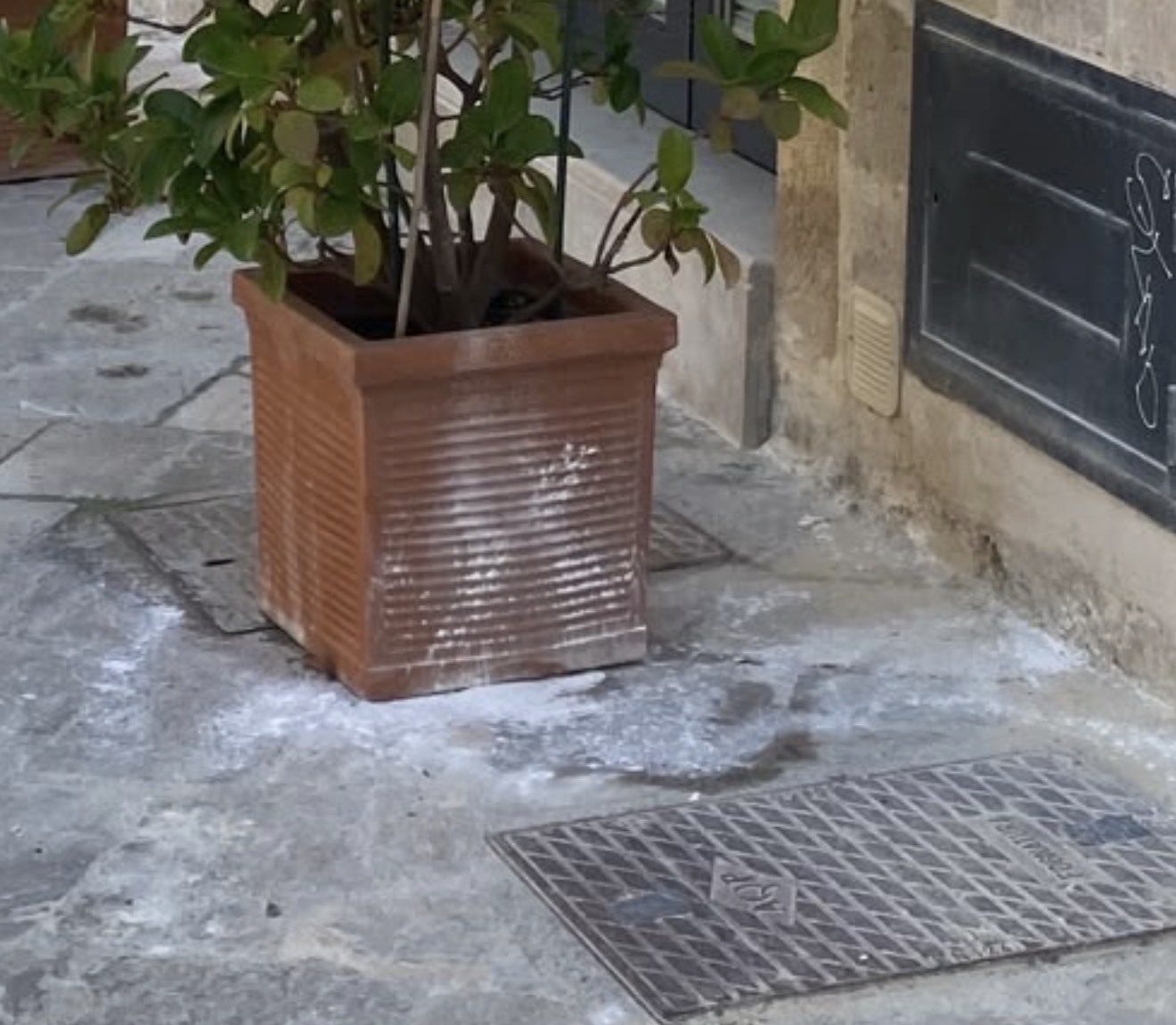 Stop ai veleni per strada