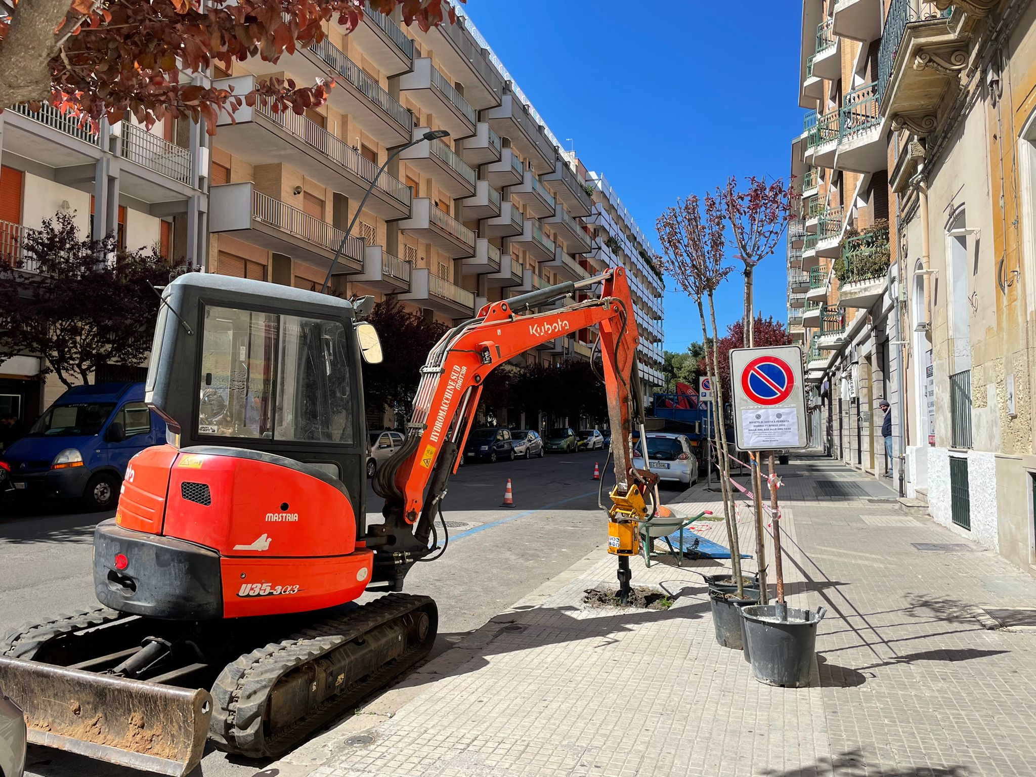 Alberiamo la città: a dimora gli alberi donati dai cittadini via imperatore adriano