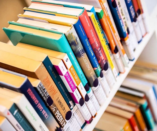 anno calviniano libri