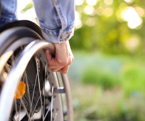 Referendum 22 e 23 marzo, trasporto ai seggi per elettori anziani e diversamente abili