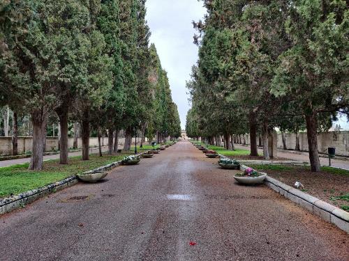 Cimitero Monumentale - viale