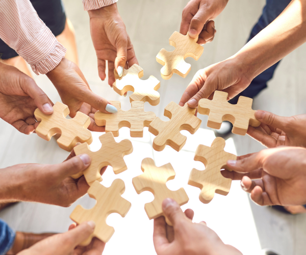 collaborazione