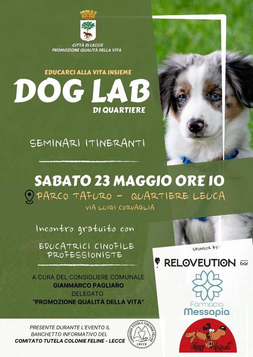 dog lab