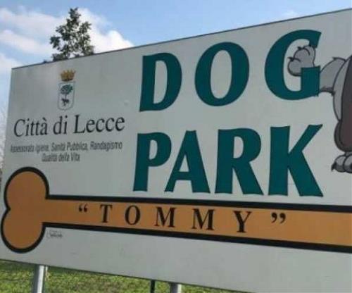 dog park