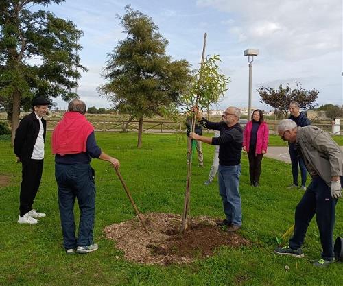 festa dell'albero 2022