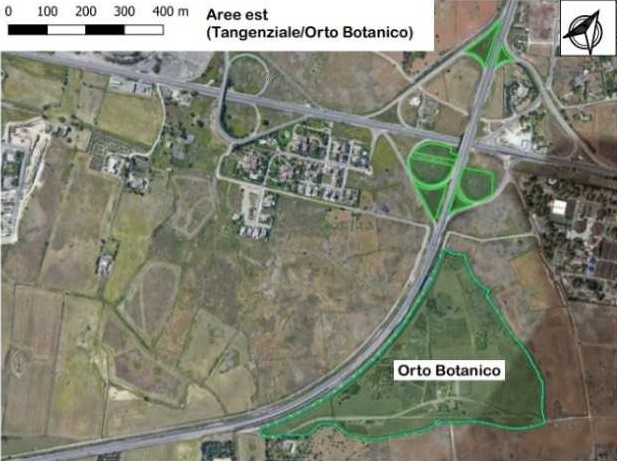 Forestazione urbana: finanziati con 350mila euro gli interventi a Borgo Pace e nel quartiere Stadio forestazione urbana