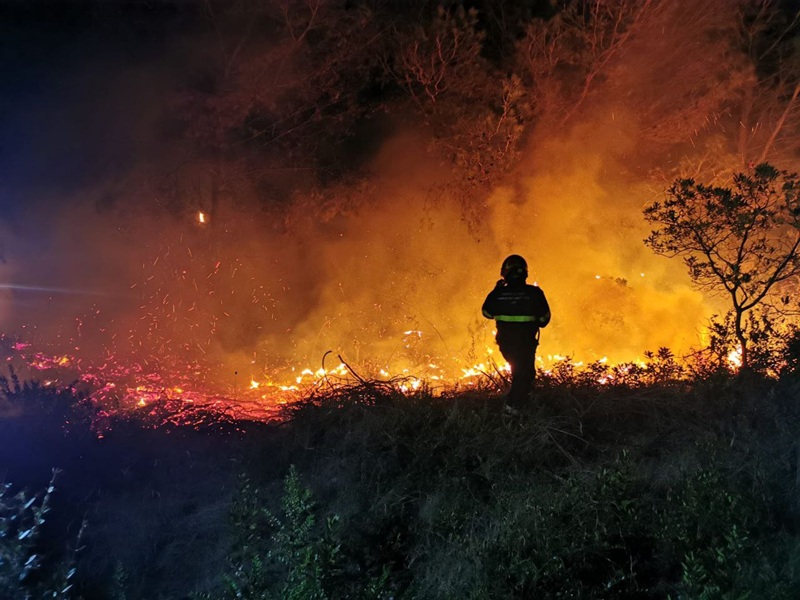 Incendio boschivo