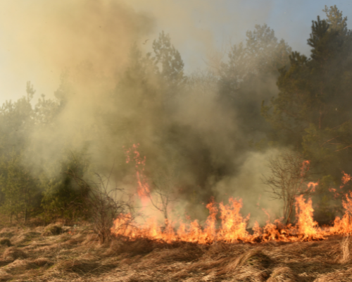 incendio