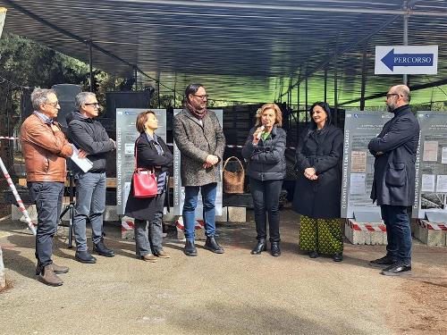 Incontro tettoia liberty