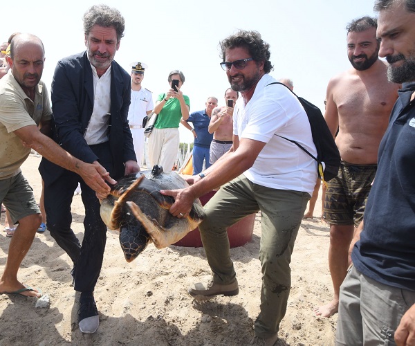 Liberazione tartaruga