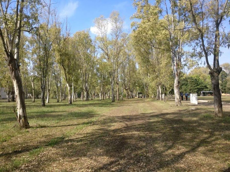 Al Campo Montefusco due mesi di corsi gratuiti di Yoga e Taichi chuan montefusco