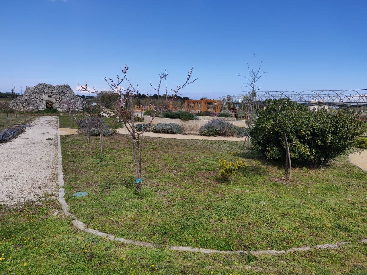 Iniziative e progetti presso l’Orto Botanico: un avviso per fare rete con la città orto botanico del salento