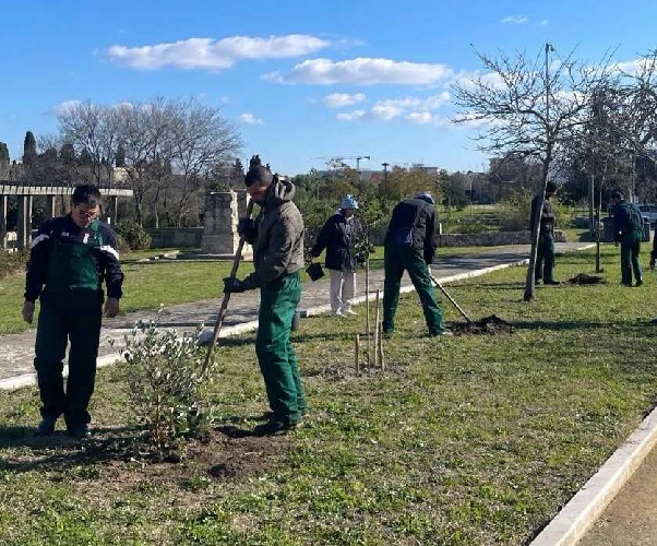 Parco di Belloluogo, nuovi alberi e arbusti grazie alla collaborazione con Arnia Parco Belloluogo, lavori