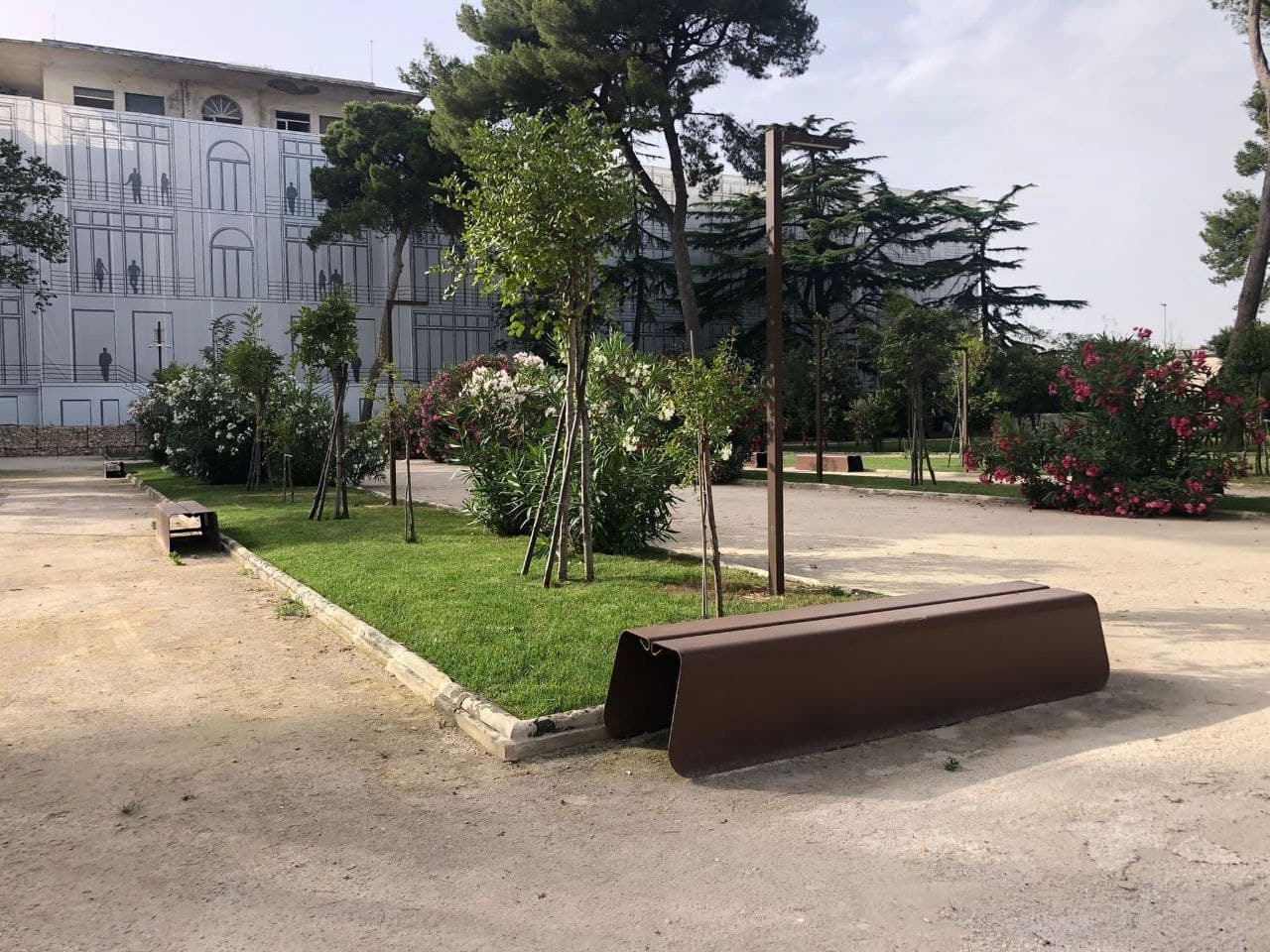 Parco del Galateo, al via la valutazione del rischio sui pini Parco Galateo