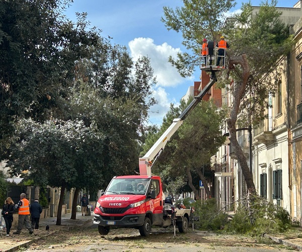 Via al piano di messa in sicurezza delle alberature di San Lazzaro Piano messa in sicurezza alberi - San Lazzaro