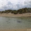Dune - Torre Chianca